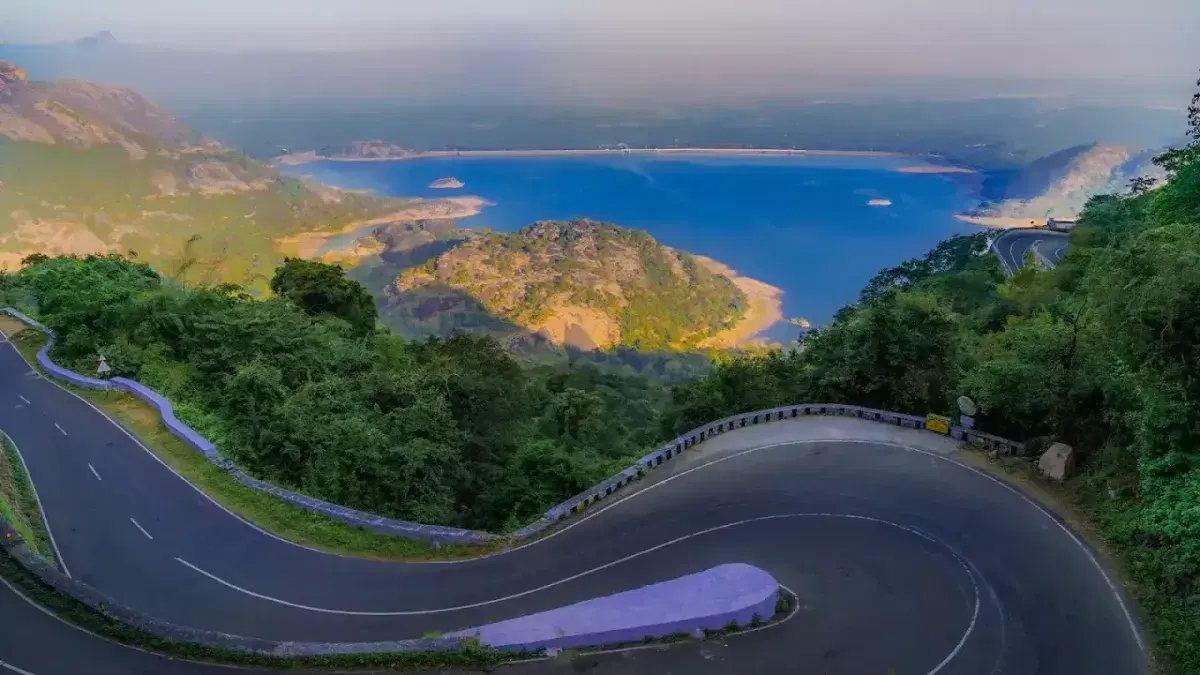 Loam's View Point