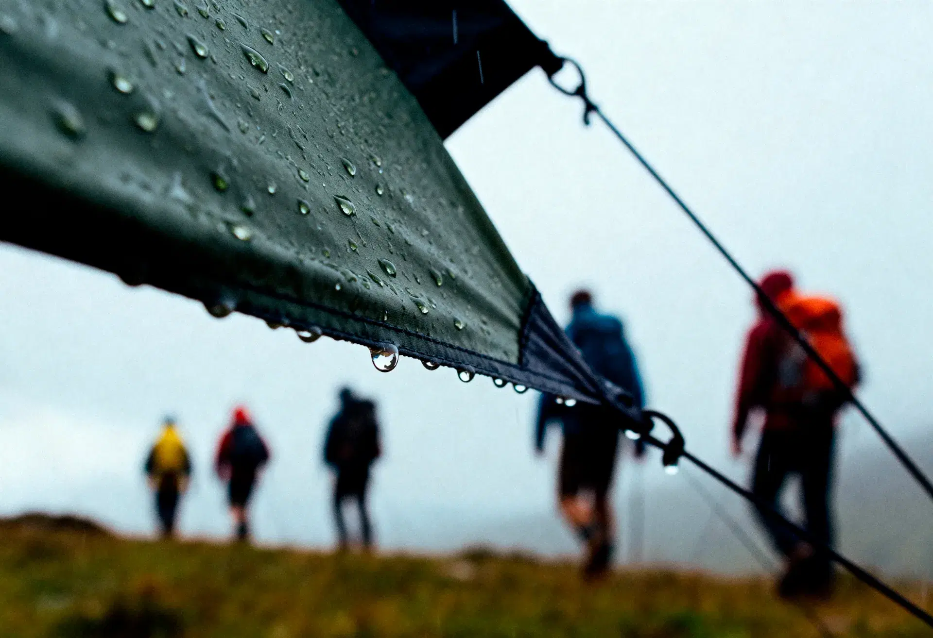 Trekking & Adventure Tours